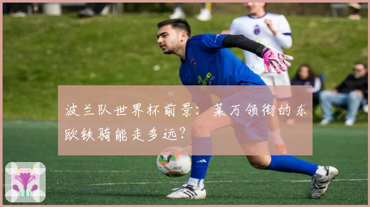 波兰队世界杯前景：莱万领衔的东欧铁骑能走多远？