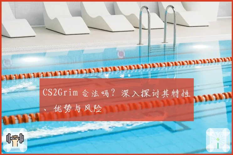CS2Grim 合法吗？深入探讨其特性、优势与风险