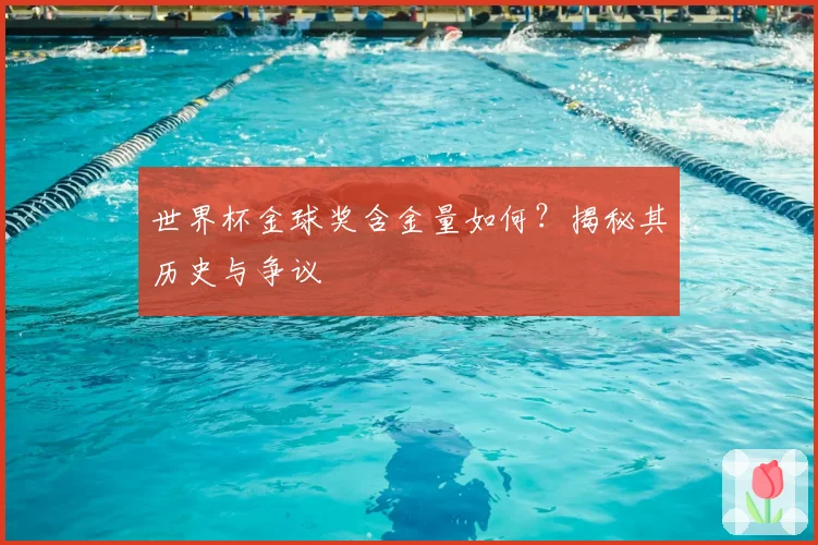 世界杯金球奖含金量如何？揭秘其历史与争议