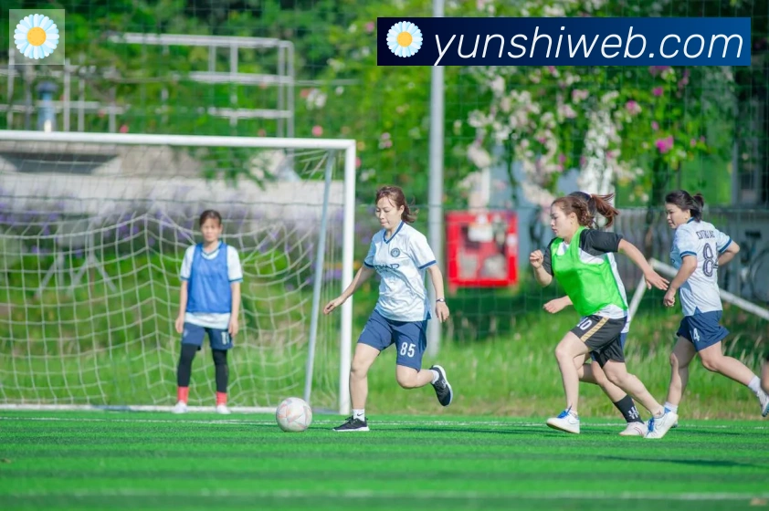 开云kaiyun网页版发展历程