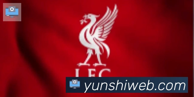 开云kaiyun网页版合作伙伴